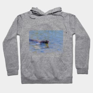 Arguing Sea Lion Seal Swimming, Showing Teeth Hoodie